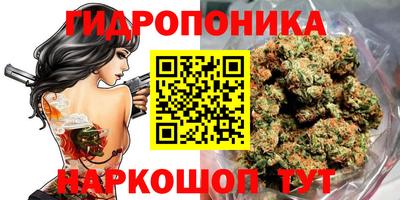 мдпв Малоярославец