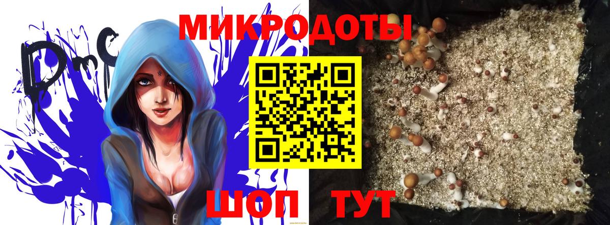 Псилоцибиновые грибы MAGIC MUSHROOMS  Вход с VPN  Верхний Уфалей 